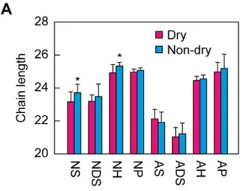 Shorter Ceramide Chains Associate with Dry Skin — LC-MS/MS Evidence Bar/violin plot comparing fatty-acid chain length distribution of NS/NH ceramides in dry vs. non-dry cheek skin, demonstrating shorter chains in dry skin
